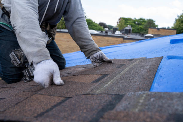 Quick and Trustworthy Emergency Roof Repair Services in Marquette Heights, IL