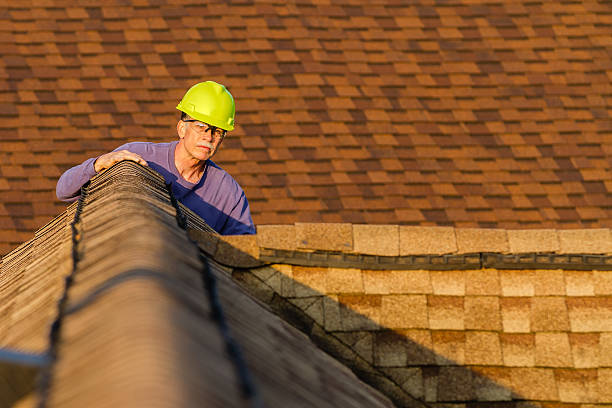 Best Roof Gutter Cleaning  in Marquette Heights, IL